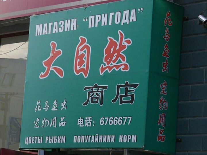 Русские Названия Магазинов В Китае Русские Названия Магазинов В Китае