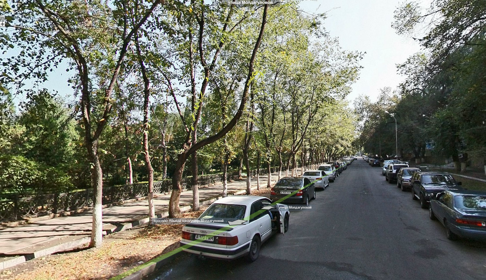 Так выглядели деревья на улице Молдагуловой в 2012 году