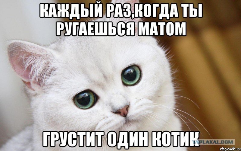 Картинки с матами и смешные, число открытки открытки