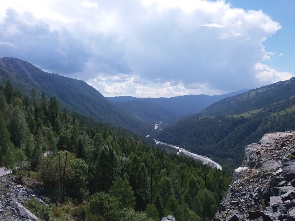 Фото джабык карагайский бор