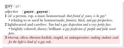 apple-dictionary-gay