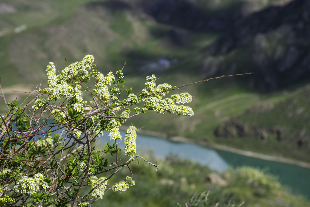 река Или, Казахстан