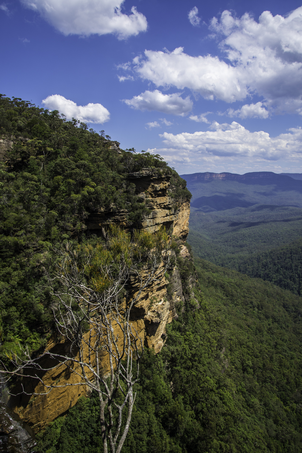 национальный парк "Голубые Горы", Австралия