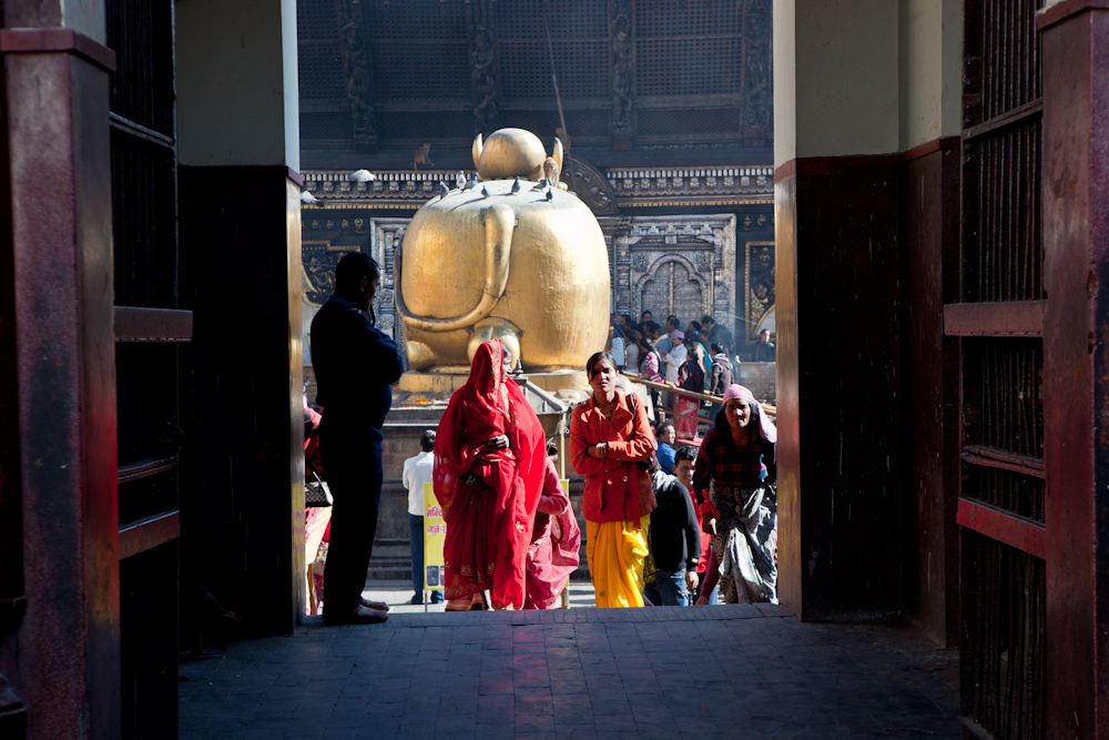 Золотой телец в храме Шивы
