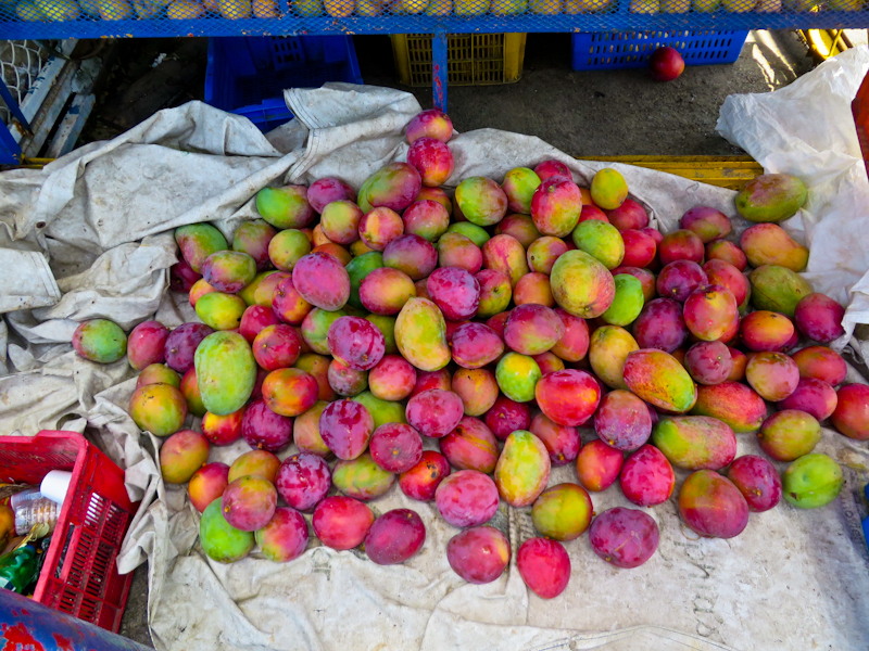 плоды манго в Доминикане