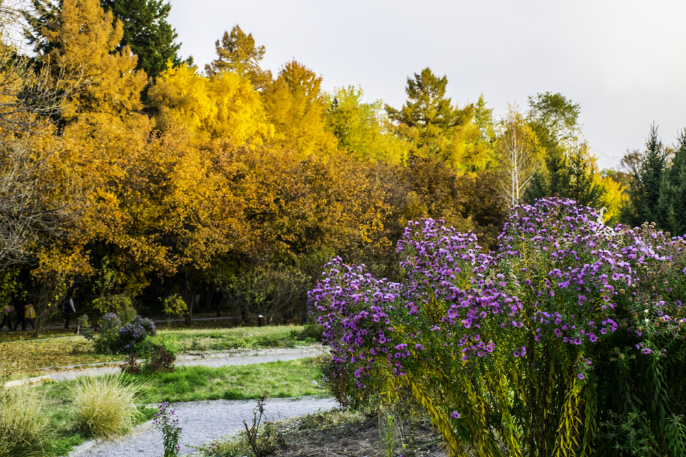 осень в Алма-Ате, Ботанический Сад