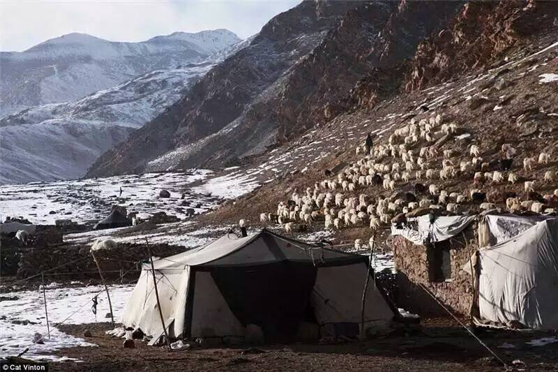 кочевники Тибета