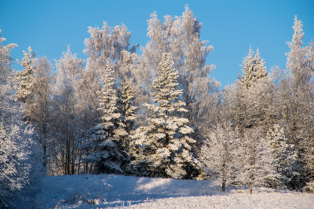 Эстония зимой