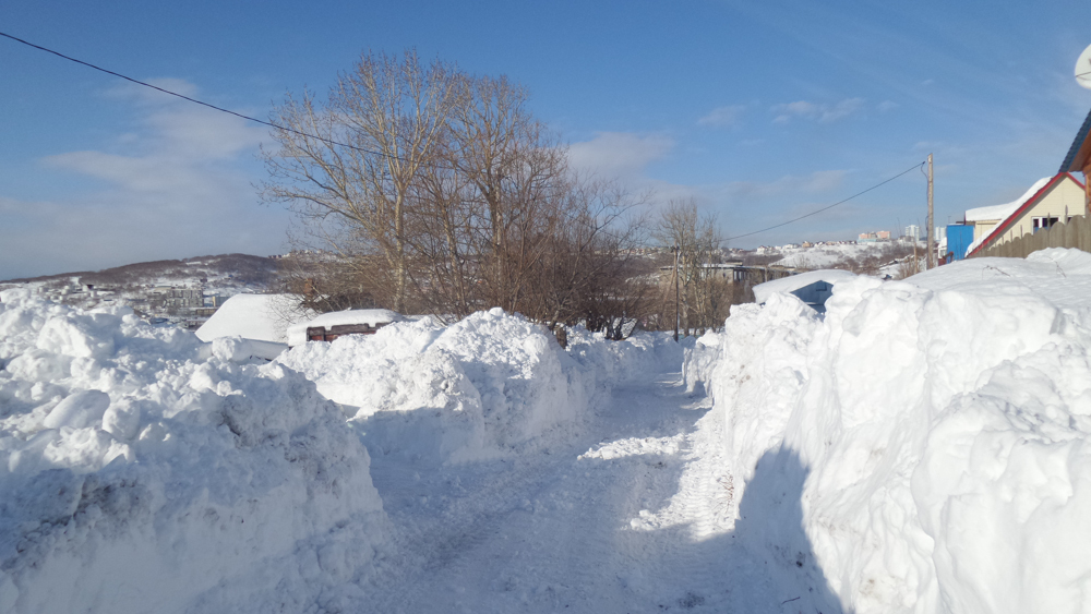 Петропавловск-Камчатский после снегопада