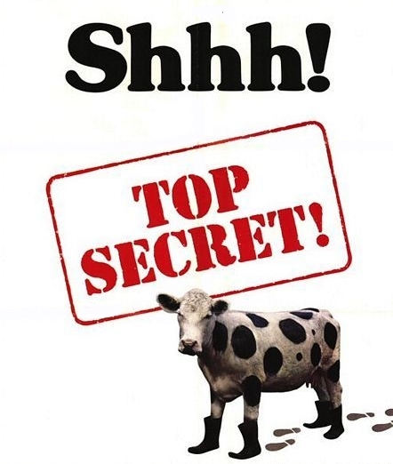 Совершенно секретно корова Алматы ТРК под площадью новая площадь