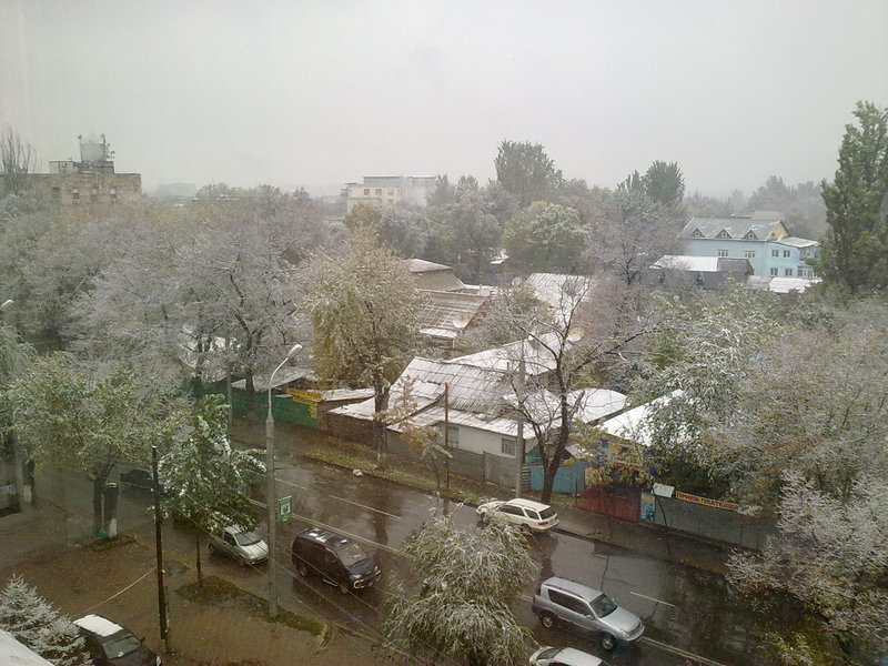первый снег в Алматы фото из офиса