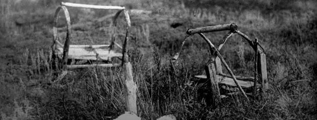 Традиционная жизнь в степи: Пять фактов о колыбели, о которых мы не знали ранее