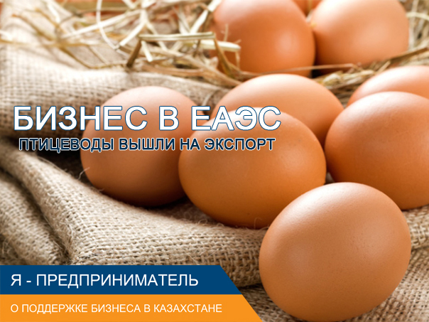 нпп, еаэс, агро бизнес и Дорожная карта бизнеса 2020 в казахстане