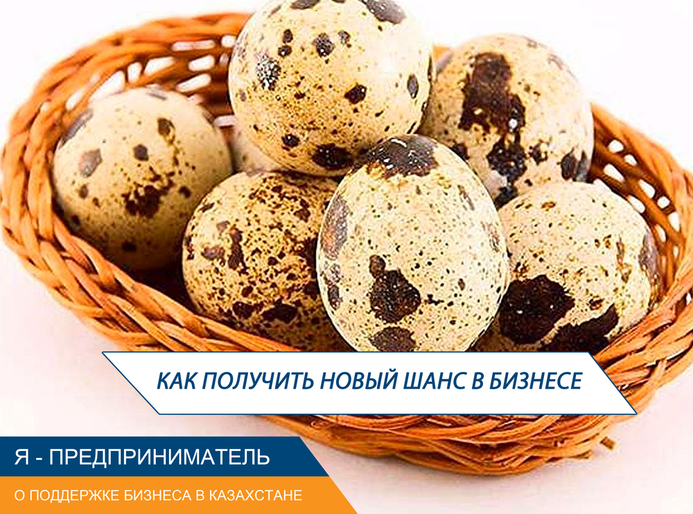 шанс на бизнес с нпп