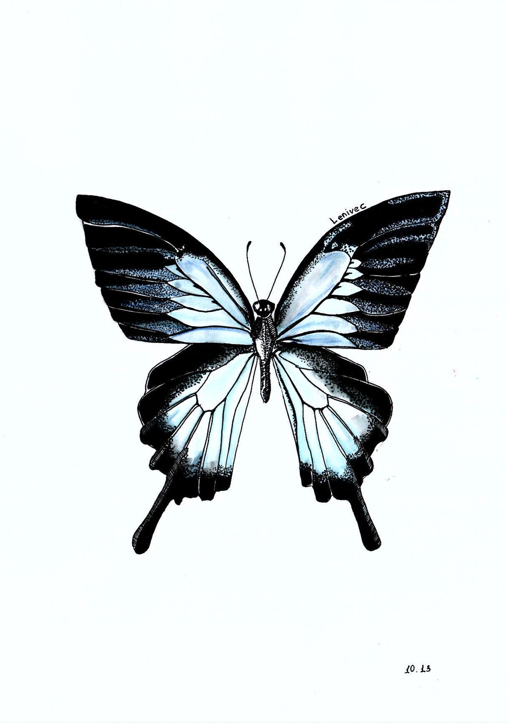 эскиз для татуировки, бабочка, иллюстрация ленивца, рисунок тушью, Ленивец художник