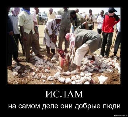 Muslim Kz