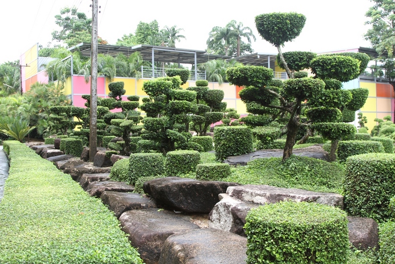 Ботанический сад Нонг Нуч Паттайя Таиланд