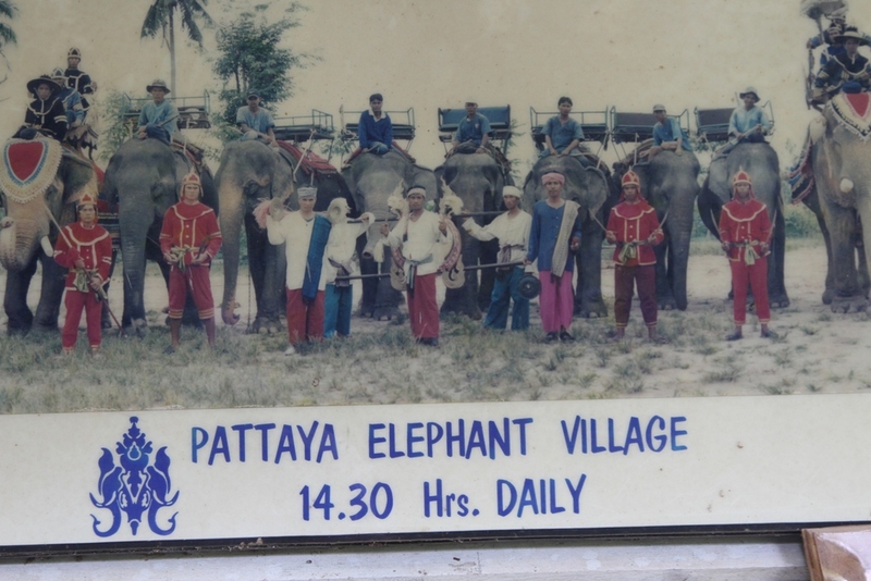 Слоновья ферма Паттайя
