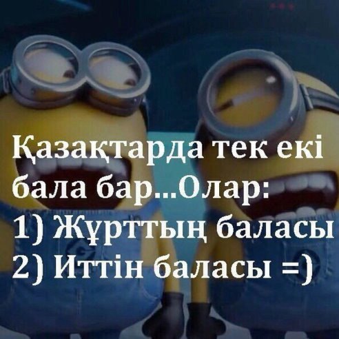 Что значит иттын баласы. Смотреть фото Что значит иттын баласы. Смотреть картинку Что значит иттын баласы. Картинка про Что значит иттын баласы. Фото Что значит иттын баласы