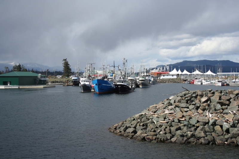 Порт Харди - типичный рыбацкий и портовый городок