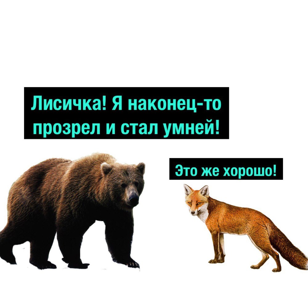 Медведь и лиса