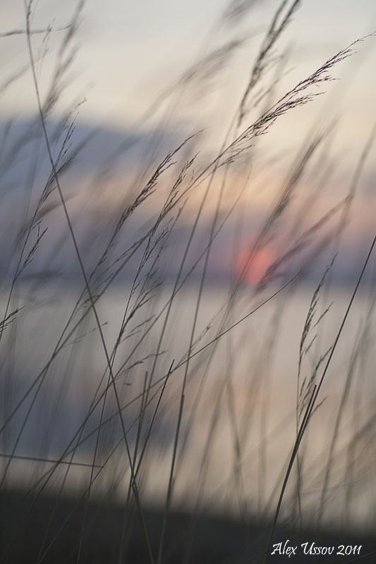 Закат на соленом озере. Маралды 2011